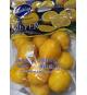 Citrons Citrons Meyer 1.81 kg