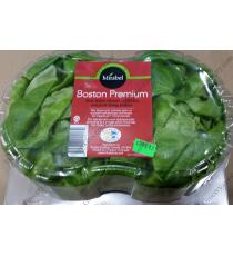 Mirabel Boston Premium Two Fresh Living Lettuces,