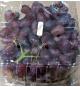 Cape Red Seedless Grapes, 1.36 kg