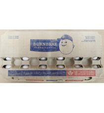 BURNBRAE (or Nutri) Farms Extra Large Eggs, Pack of 18