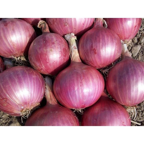 Red Onion 2.27 kg