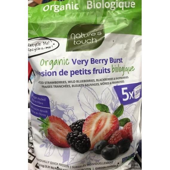 Natures Touch Organic Mixed Fruits, 1.5 kg