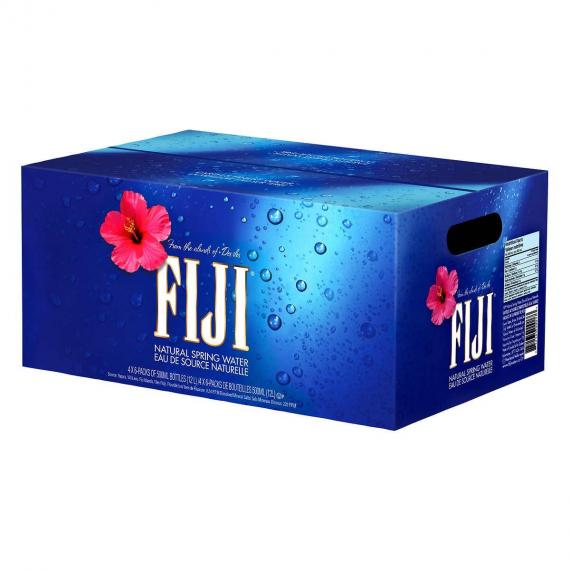 FIJI EAU SOURCE NATURELLE 24 x 500 ml