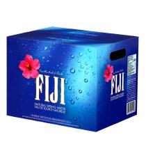 FIJI WATER NATURAL SOURCE 12 x 1L