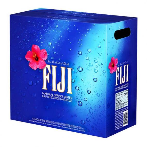 FIJI EAU SOURCE NATURELLE 36x 330ml