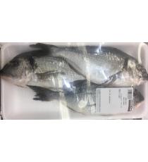 Bream - Dorade Royale (Farmed), 3 fishes, 1.4 kg (+/-50 gr)