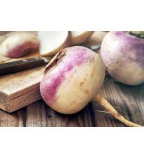 Turnip, 1 kg ( /-50 gr)
