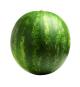 Seedless Watermelons