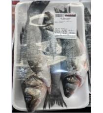 Kirkland Sea Bass (farmed), 3 fishes, 1.2 kg ( /-50 gr)