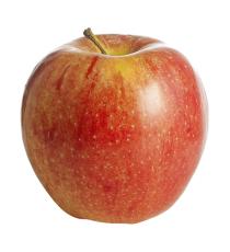 organic gala apple