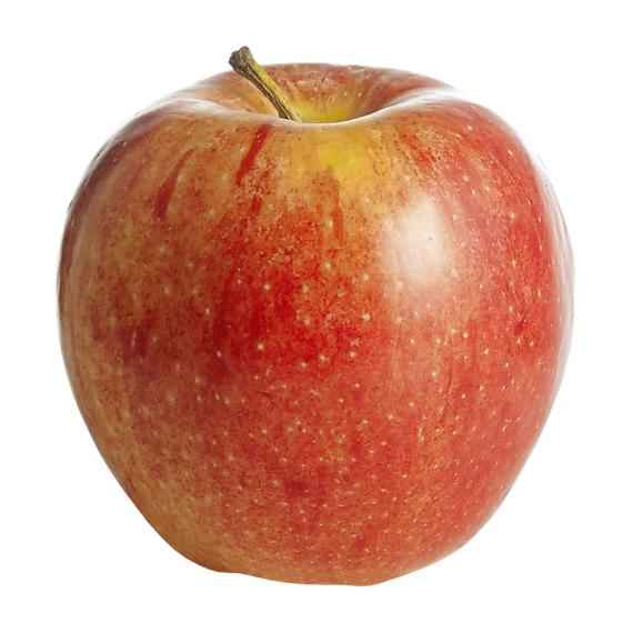 organic gala apple