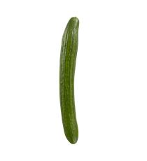 organic english cucumber