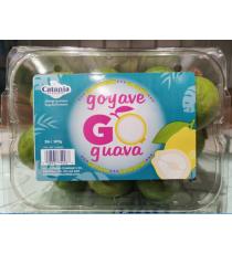 Guava, Product of Mexico, 908 g / 2lb