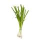 Green Onion, (1 bunch)