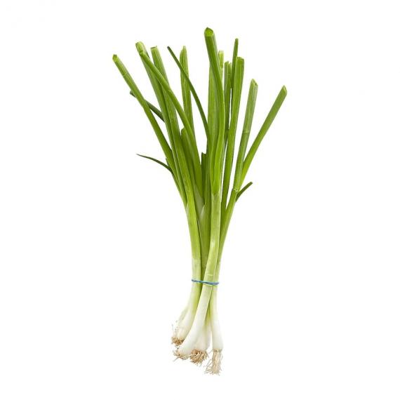 Green Onion, (1 bunch)