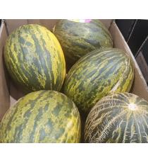 Melon Piel De Sapo, Melon du Père Noël une unité