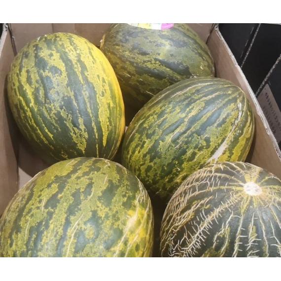 Melon Piel De Sapo, Melon du Père Noël une unité