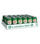 Boisson gazeuse Canada Dry Soda gingembre 24 × 355 mL