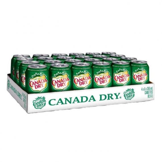 Boisson gazeuse Canada Dry Soda gingembre 24 × 355 mL