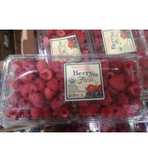 Organic Raspberries, 340 g