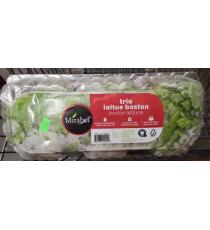 Boston Lettuce, Product of Quebec, Pack of 3