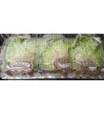 Boston Lettuce, Product of Quebec, Pack of 3