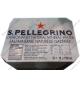 San Pellegrino Eau Minérale Naturelle Gazéifiée 12 x 750 ml - bouteille en verre