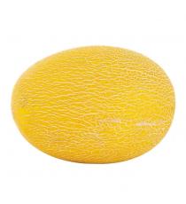 Melon Hami