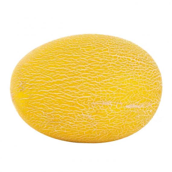 Melon Hami