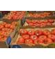 Tomates rouges Beefsteak 6,8 kg