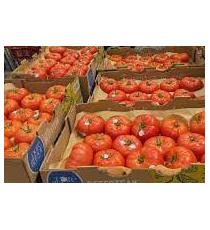 Red Beefsteak Tomatoes 6.8 kg