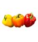 Organic Mixed Peppers 6 ct