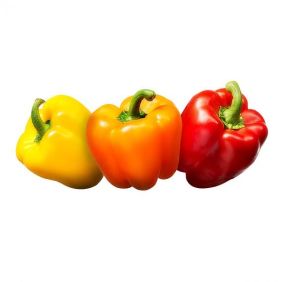 Poivrons mélangés biologiques 6 ct