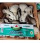 Oyster mushrooms 1lb
