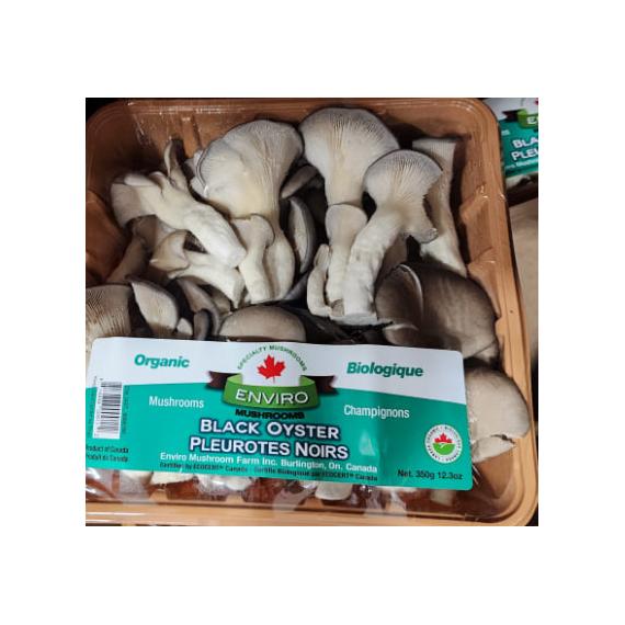 Oyster mushrooms 1lb
