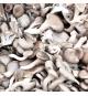 Oyster mushrooms 1lb