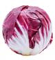 Radicchio, 4 Pack