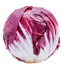 Radicchio, 4 Pack