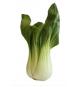 Shanghai Bok Choy 907 g