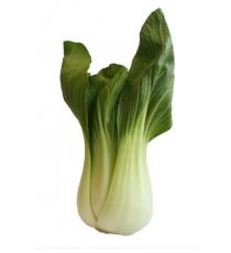Bok Choy Shanghai 907 g