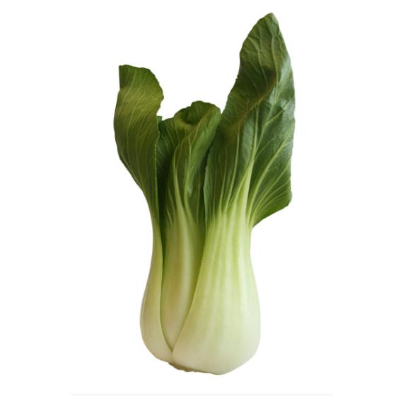Shanghai Bok Choy 907 g