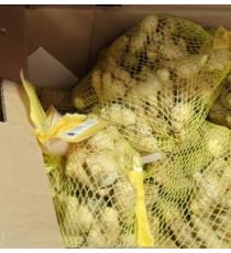 Gingembre biologique, 794gr-1.75lb