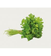 Organic Italian Parsley | 1 un.