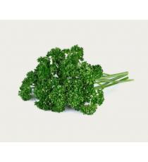 Organic Curly Parsley | 1 un.