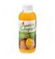 Kombucha mangue curcuma PC Organics 473 ml